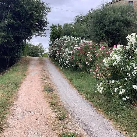 بيت للعطل Casetta Montepolino *